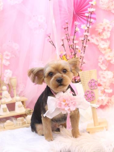 20250309ショーンくん